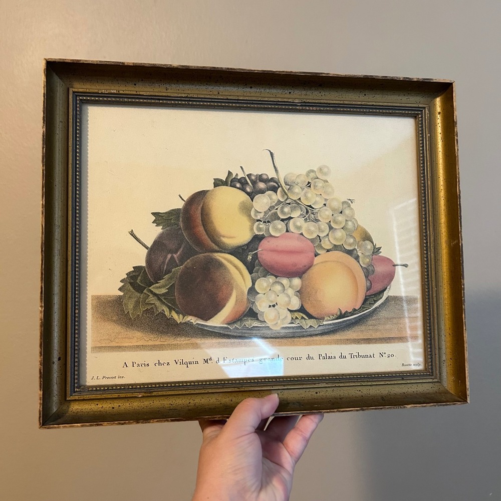Antique Hand Colored Fruit Lithograph Prevost Still Life Art Wood Framed
